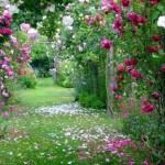 Decoração de Jardins Pequenos e Grandes, Dicas e Fotos