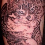 Tatuagens de Gatinhos, Dicas e Fotos
