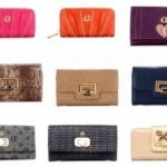 Carteiras Femininas de Marca – Dicas e Fotos