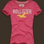 Roupas Hollister 2013: Preços, Fotos