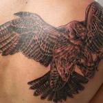 Modelos de Tatuagens de Falcão – Dicas, Fotos